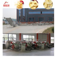 Fruit and vegetable crisp chips vacuum drying line